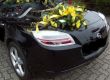 Autoschmuck 4/b hinten